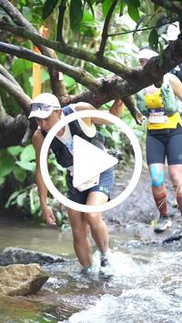 BIB:  <button type="button" onclick="openModal(27801439)" class="btn btn-primary btn-sm float-right" data-toggle="modal" data-target=".modal-high-quality">
                <i class="fa fa-download"></i> Download
                </button>